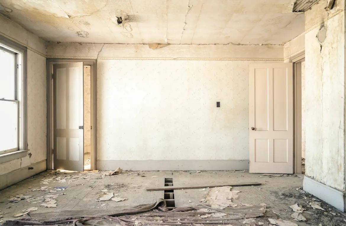 Waste disposal crew managing a cleanout project in Shady Hollow